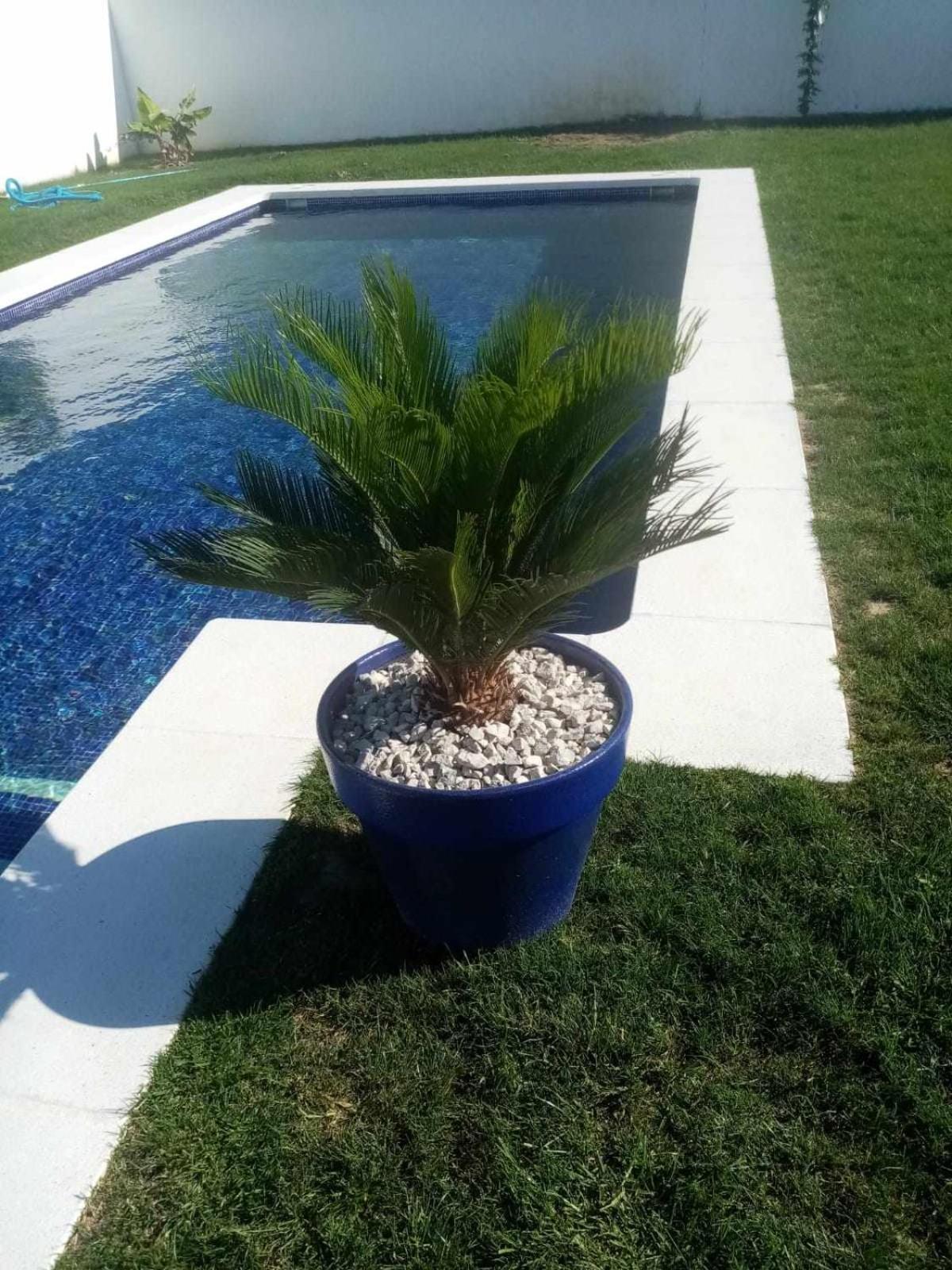 Las Casitas De La Barrosa Con Jardin Y Piscina Chiclana de la Frontera Camera foto